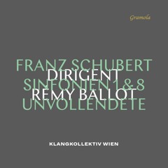 F. Schubert - Symphony No. 8 (1st movement, excerpt) - KLANGKOLLEKTIV WIEN, Rémy Ballot