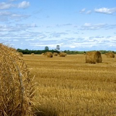 Ring On Delhi (Big Band)