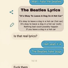 I'ts Ok (To Leave a Dog In A Hot Car)