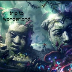 Port - Trip To Wonderland