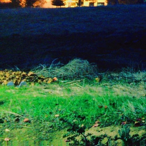 Variant - Acid Field