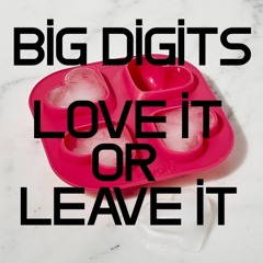 Love It Or Leave It (c. 2004)