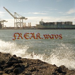 Freakwav$ (perfect Reflections)