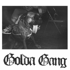 Golda Lit Ft. Abuhasira, Girshoni.