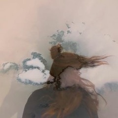 The boy with at torn in his side Cover