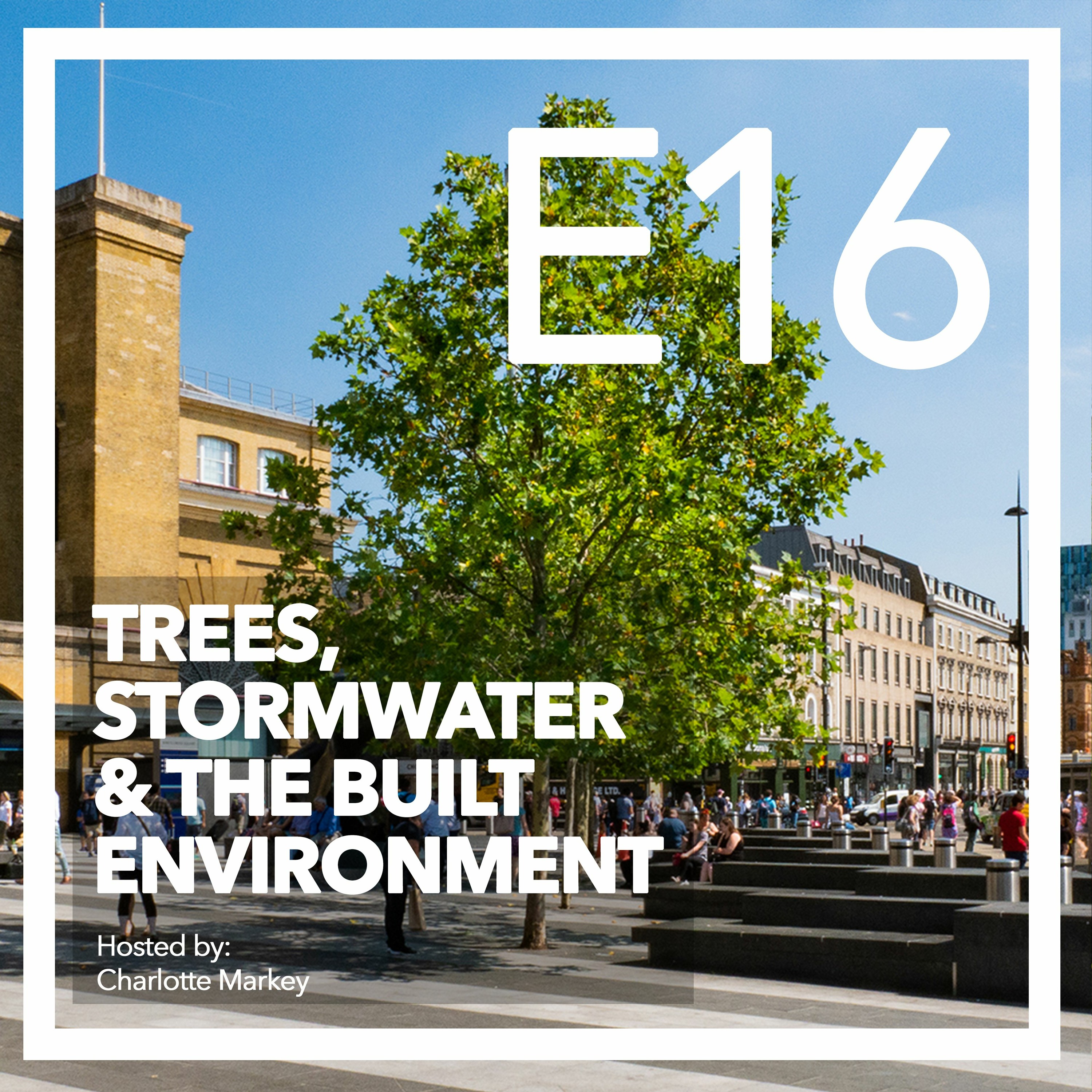 Trees-Stormwater