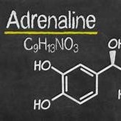 Impalas ft ZEBSTAR (Prod. Lucid $wank)