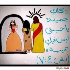 ترنيمه مين الى طالعه من البريه - المرنم دانيال الناصرى وفريق صوت السماء