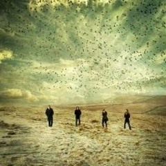 102 - Drive Like I Do