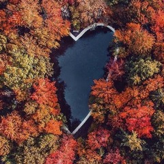 Ahmed.Mustafayev.Tund.Serab.boxca.Ehmed.Mustafayev.Tund.Serab.mp3.boxca.mp3