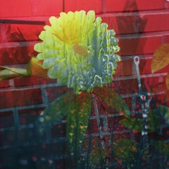 "RAIN"