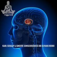 Karl Schaap & Sincere Consciousness DB Eliyahu Remix.