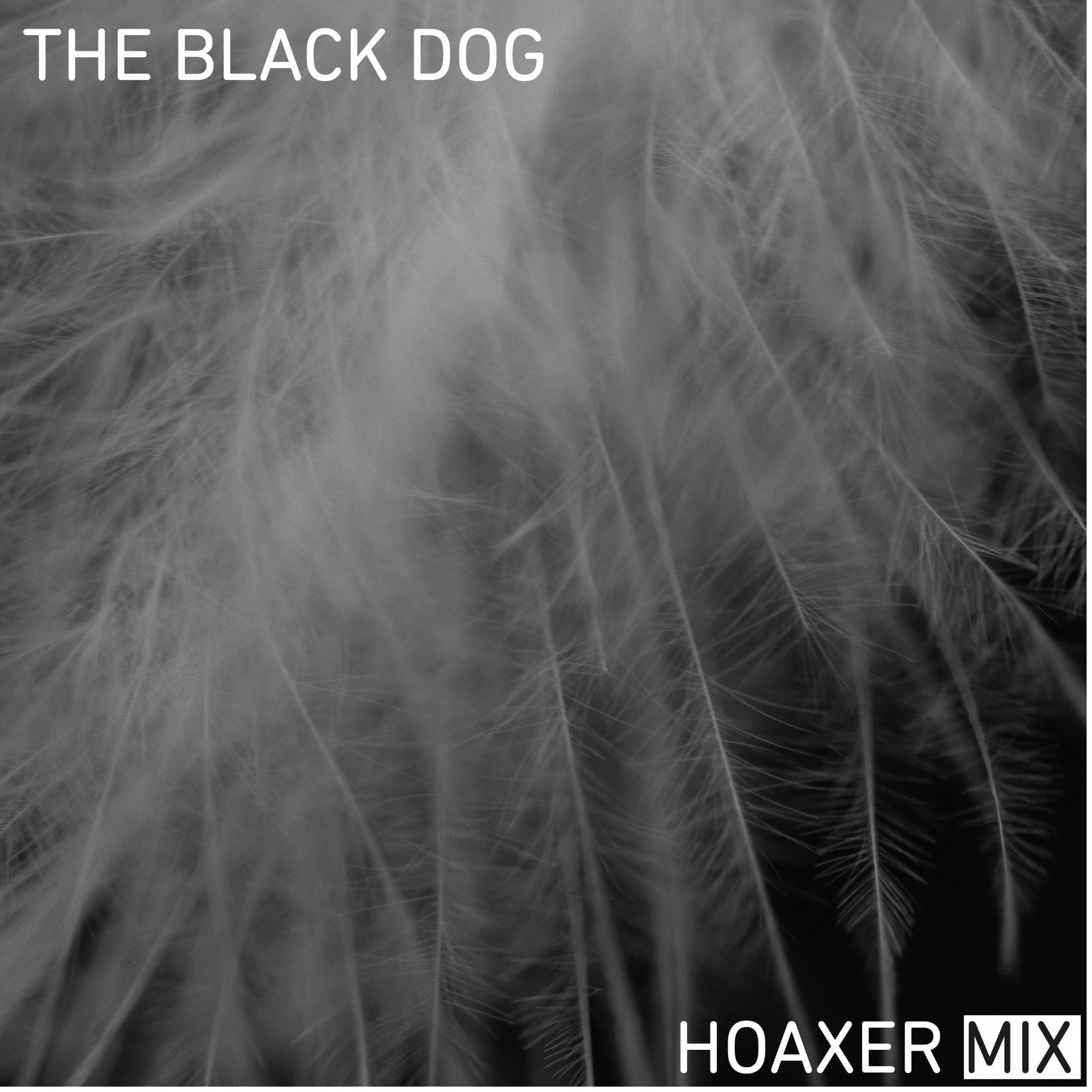 Hoaxed - DJ Mix episode artwork