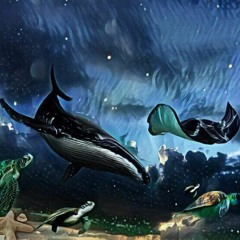 Apologize(prod. Misery)