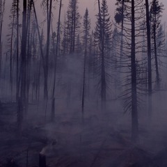 Smoke And Distance - Tonia Ko