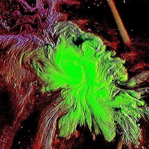 Sautéed I Must Say (1k Freebie)