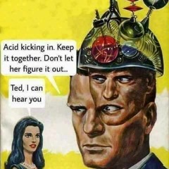 thewisegoldfish vs martha high - never never... [acid radio]