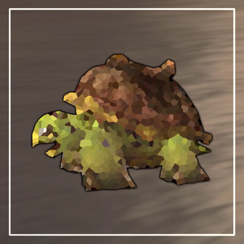 A Turtle Made It to the Water! 🌊🐢