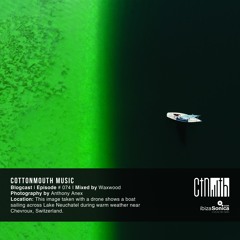CTNMTH - BLOGCAST 074 - WAXWOOD