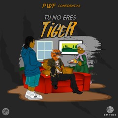 Tu No Eres Tiger - PWF Confidential