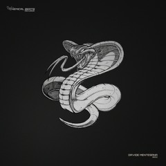 Davide Mentesana - Bitch