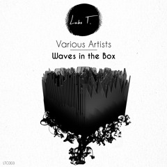 Free Download: Teho - Waves in the Box (V.A. Continuous Mix) [Labo T.]
