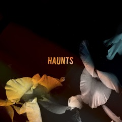 Bearcubs - Haunts