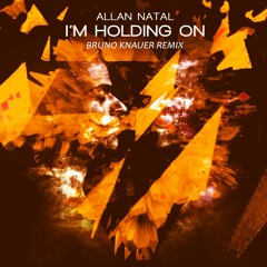 Allan Natal - I'm Holding On (Bruno Knauer Remix)