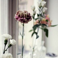 ‫صلو صلو علي الرسول والد الزهره البتول‬ - YouTube.MKV