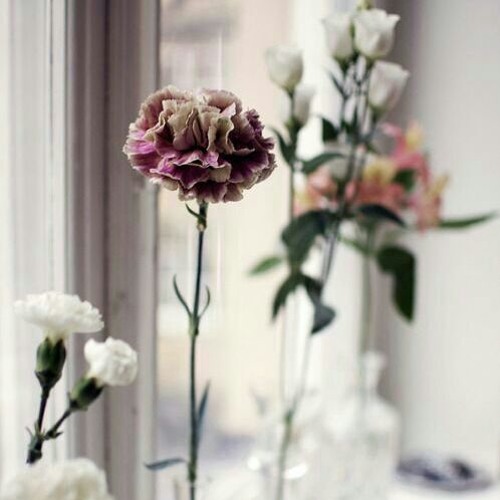 ‫صلو صلو علي الرسول والد الزهره البتول‬ - YouTube.MKV