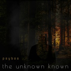The Unknown Known