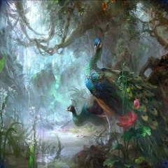 DCD - Rakim (PAN Edit)   {FREEDOWNLOAD}