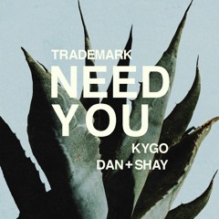 Need You (Kygo X Dan + Shay) [Single Version]