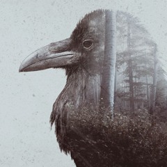 Melodic Mind (original mix)