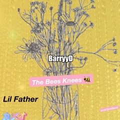 The Bees Knees ft Lil Father (Prod.BanBwoi)