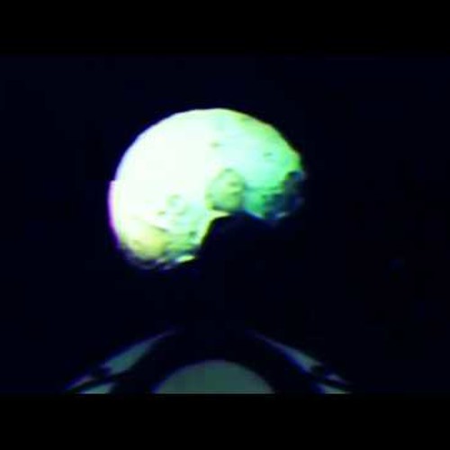 elvis x wjk - nie lubimy was (jebac was)