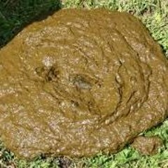 The New Diarrhea Sound Of The New Diarrhea Sound