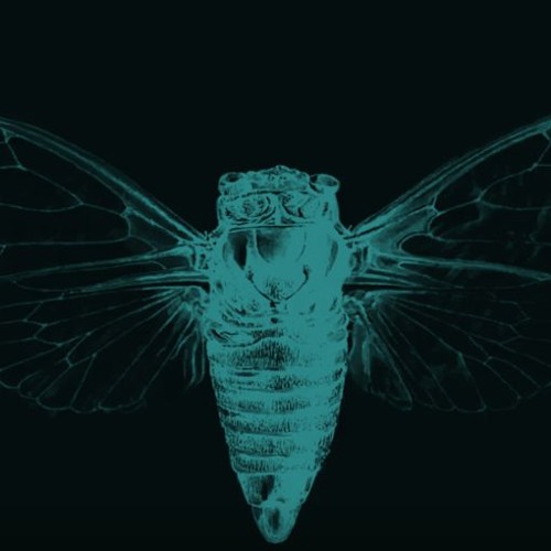 Cicada 3301: An Internet Mystery