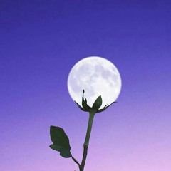 اسلام صبحي من  سورة يوسف
