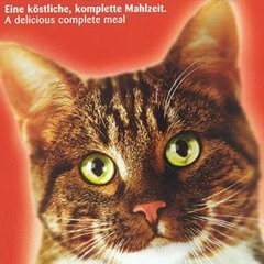 𝒃𝒓𝒆𝒌𝒌ʙ𝒊𝒆ᴛ𝒔 🐱
