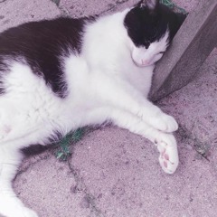 waiting for gf (2015)