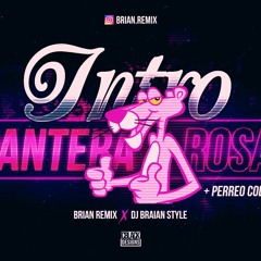 INTRO PANTERA ROSA - PERREO COLOMBIANO - RKT - BRIAN REMIX ✘ DJ BRAIAN STYLE