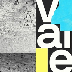BICEP - VALE (Dominik Saltevski Techno Bootleg)