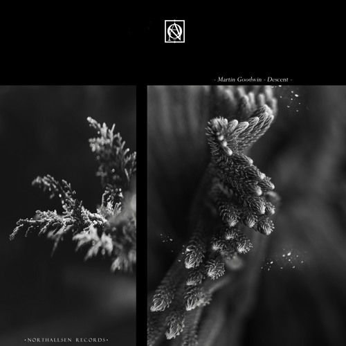 [NTS032] Martin Goodwin - Descent