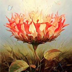 Ballet music ✨💃