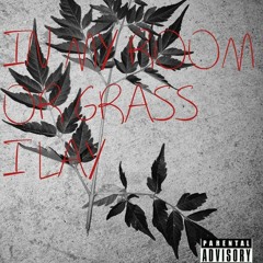 MY MIND GOES BLANK WHEN IM OFF A XAN FREESTYLE