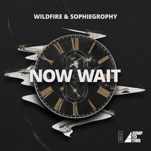 Wildfire & Sophiegrophy - Now Wait (Original Mix)