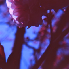 l o v e. t a p e