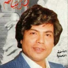 ابو بكر
