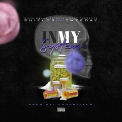 Shields Ft.TweeDay-In My System